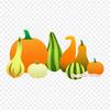 Gourds Gourd Iron On Heat Transfer Printing Vinyl Patches Sticker for Clothes DIY Appliques Washable Patches