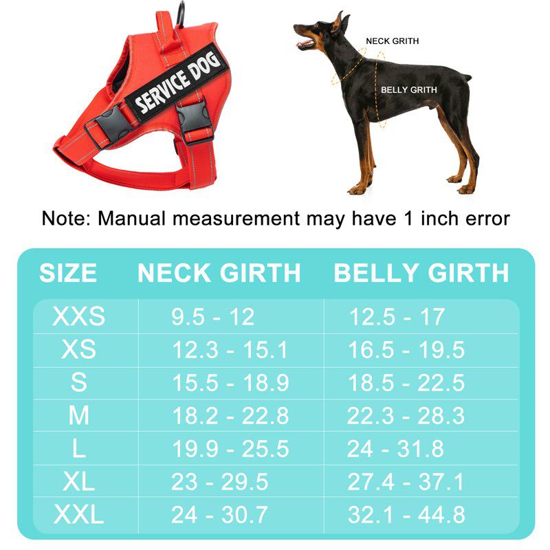 Место для выгула собак: Средне-большая шлейка-жилет для лабрадора