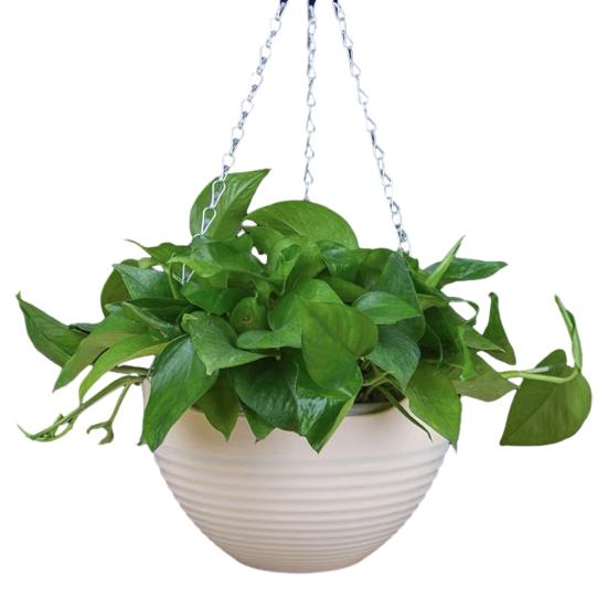 7 шт. подвесных кашпо дренаж металлические цепочки пластиковые отверстия и цветочные горшки с подвесными цветочными горшками