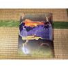 Used Pokemon Card Neo Premium File 2