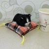 Имитация кошки кукла плюшевая игрушка мини реалистичные спящие котята на коврике фигурка