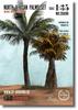 RT Diorama North African Palm Tree Set Diorama Scene Model Kit RTD35696 1/35