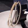 Light Luxury Big Round Women Hoop Earrings Pendant Charm Jewelry Gift Wedding