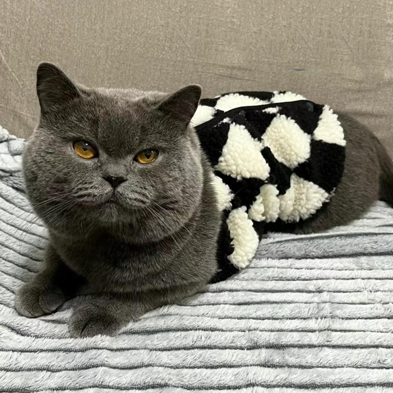 Модный свитер для кошек сфинксов, кардиган для кошек Gotas, зимняя теплая одежда для домашних животных из флиса, куртки для собак Garfield Katten, одежда mascotas