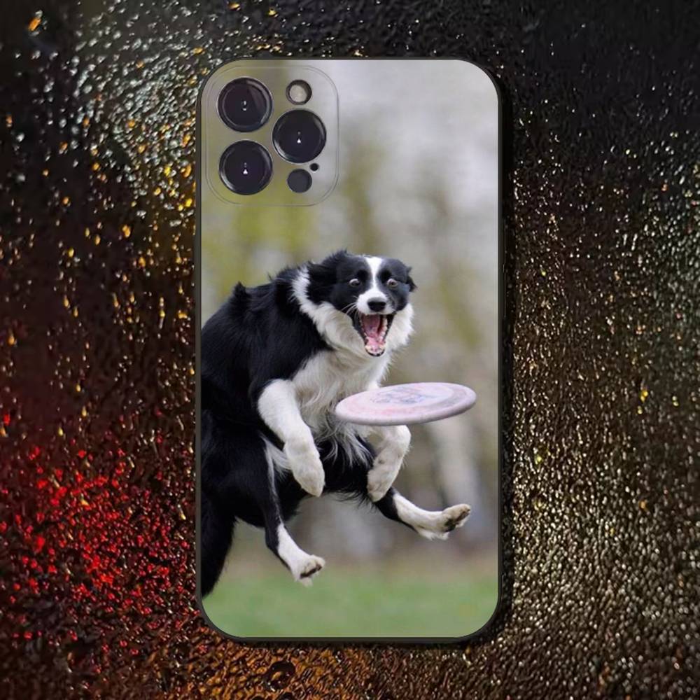 Чехол для телефона с собакой Бордер-колли для iPhone 17,16,15,14,13,12,11 Plus,Pro Max,XS,X,XR,SE,Mini,8,7, Мягкий силиконовый черный чехол