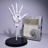 1:1 Scale Big Model Pill Highly Articulated Hand Figurine - Bionic Finger Joints Mannequin Hand Artistic Sculpture Model Kit