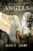 Книга Angels : A Biblical School of Living Light