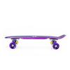Pnb01 Rainbow Electrostyle Pennyboard Deskorolka Nils Extreme