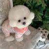 Korean-style Dog Clothes Cute Bear-print Four-legged Cotton Coat Winter Teddy Down Jacket Warm Bichon  Thickened Jumpsuits