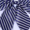 Women Bowties Striped Bow Ties Silk Tie Bow Tie Butterfly Neck Wear Collar