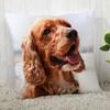 Pillowcase Cocker Spaniel  Modern Home Living Room Decoration