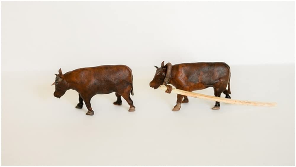 Chino Model Military Animal Series Asian Cow 2 Heads 3D Printer Kit 1/35 CMMA-001