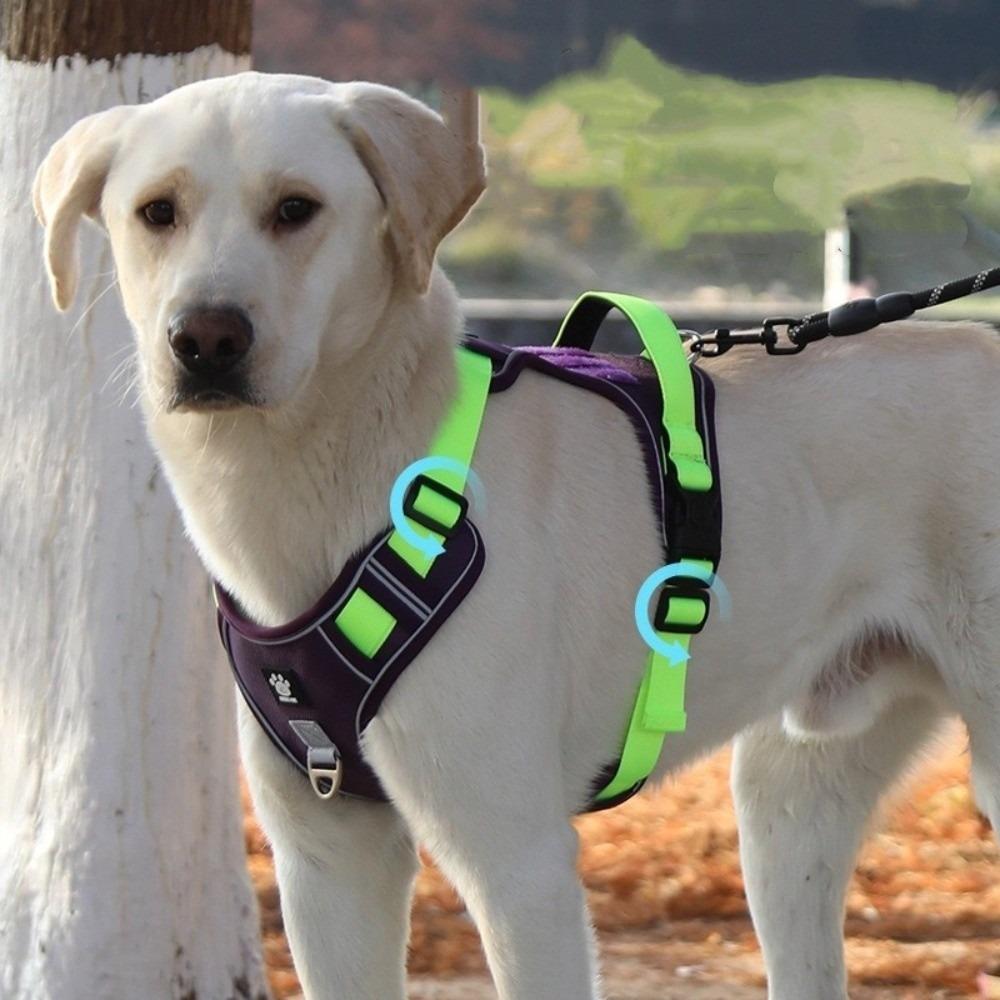 Multi-Point Adjustment Anti-Pull Dog Harness Reflective Dog Leash Dog Chest Strap Daily Walks