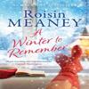 A Winter To Remember by Roisin Meaney Paperback Book 9781399711425