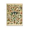 Adolphe Millot Encyclopedia Poster Fruit Botanical Mushrooms Herbs Flowers Canvas Paintings Print Vintage Wall Art Room Decor