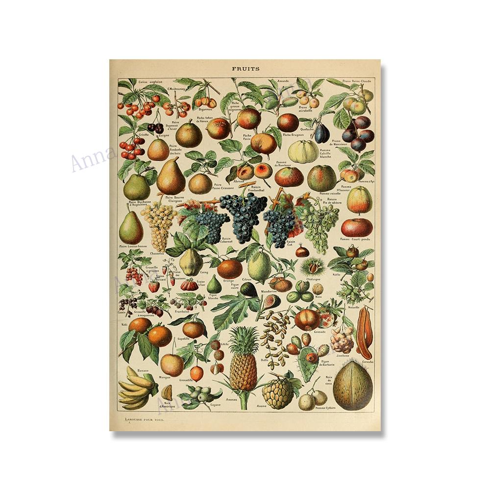 Adolphe Millot Encyclopedia Poster Fruit Botanical Mushrooms Herbs Flowers Canvas Paintings Print Vintage Wall Art Room Decor
