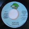 7inch Record ANTHONY B / DYCR - More Life / Good Music NONE HMG Records 2002 Jamaica Reggae, Ska & Dub Used