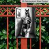 2D Flat 8×12 Inch Funny Horse Reading Newspaper on Toilet Metal Sign - Whimsical Black and White Bathroom Wall Decor, Aluminum Hanging for Restroom