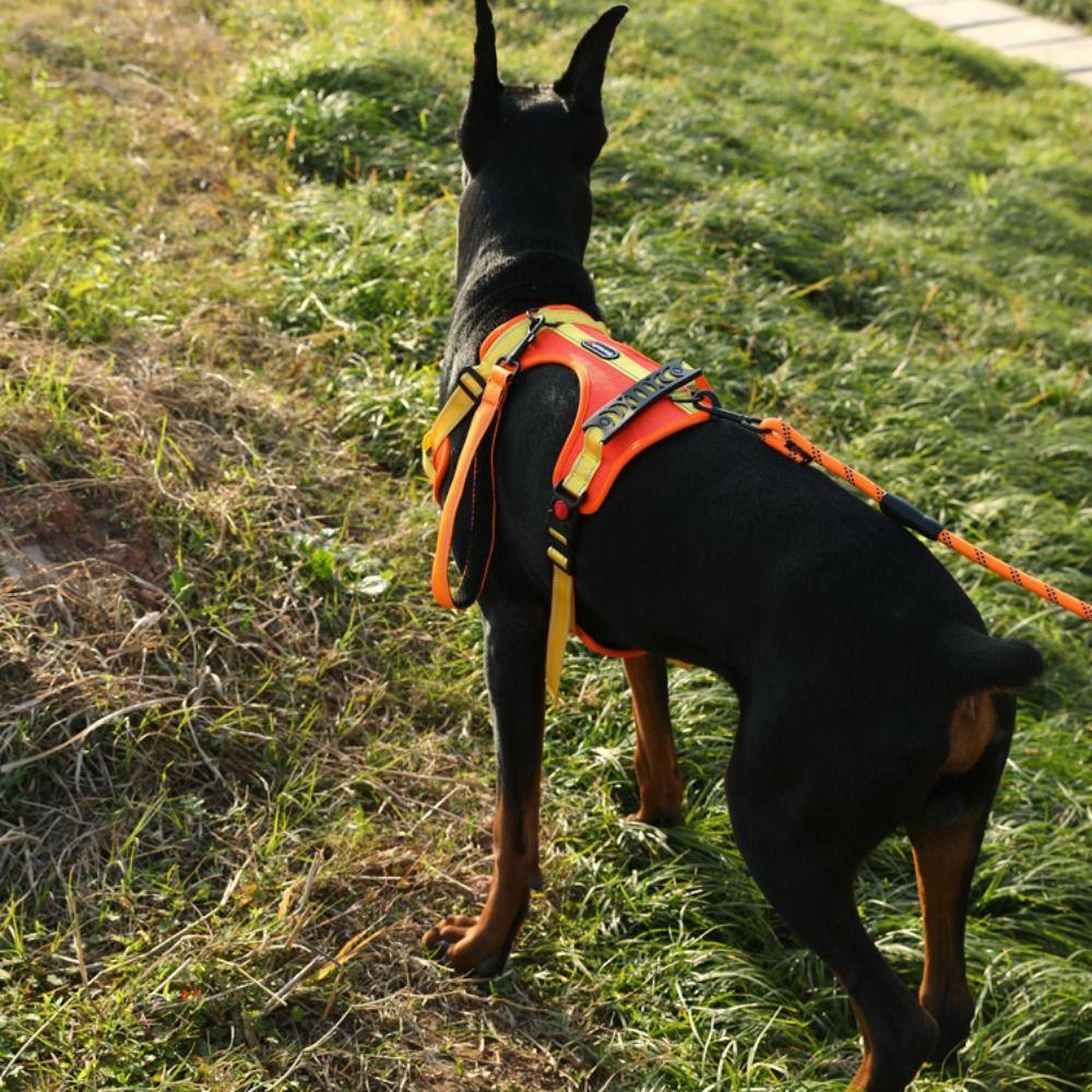 Adjustable Vest Type Dog Harness Reflective No-Pull Chest Strap Dog Chest Strap Training Use