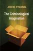 Книга Criminological Imagination