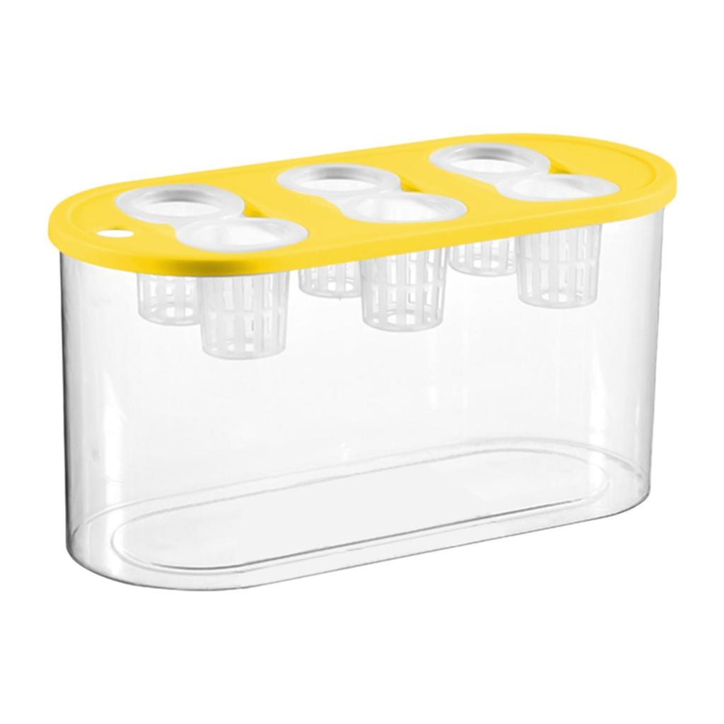 Hydroponic Grower Box 6 Holes Sturdy Easy to Use Transparent Hydroponic Planting Box for Vegetables Indoor Home Plants and Fish