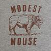 Modest Mouse Серая футболка Bitter Buffalo E345