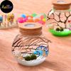 SHANGSHU 11cm Round Glass Jar Terrarium with Colorful LED Light Cork