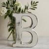 Wooden Letter B