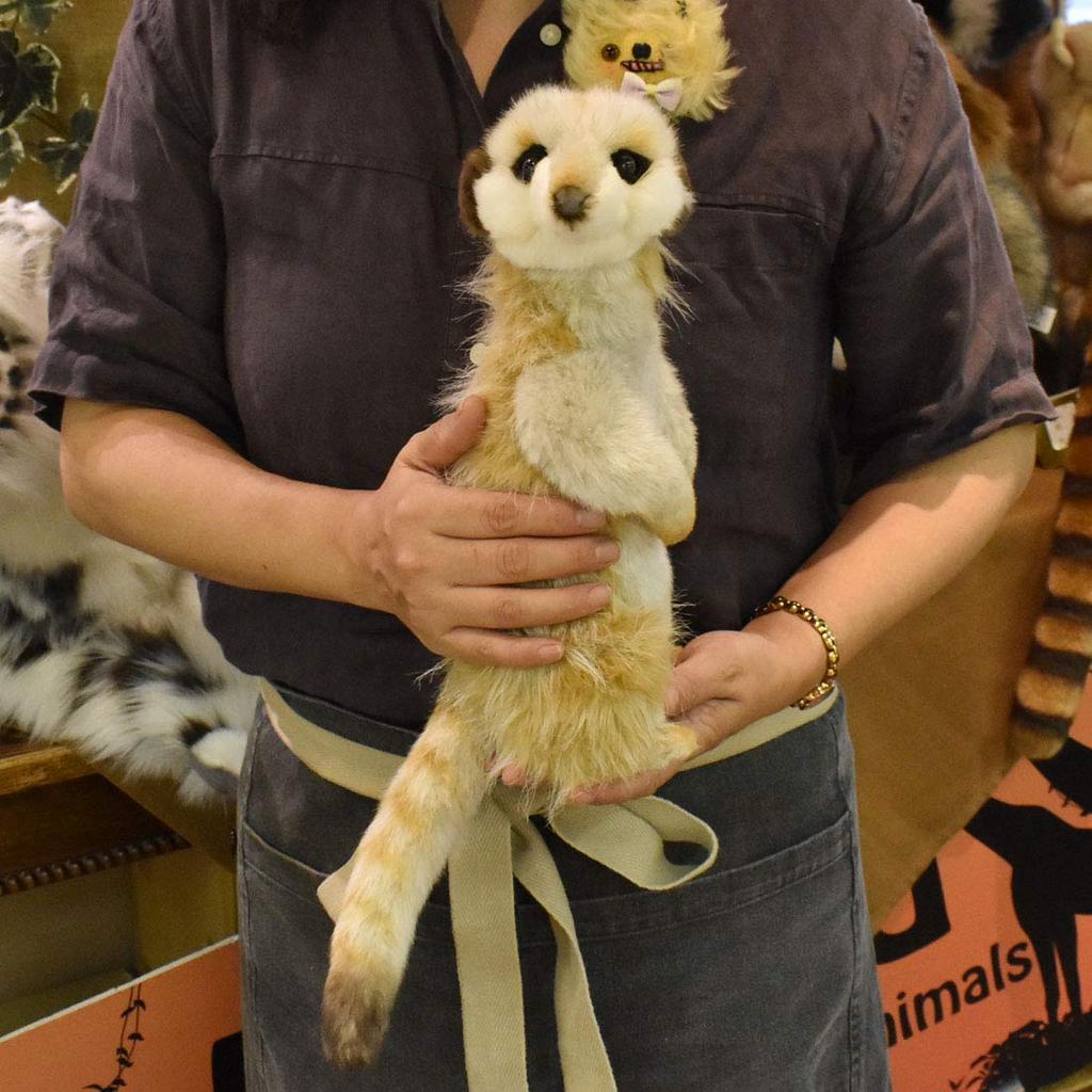 HANSA Meerkat No.3703 Meerkat No.3703