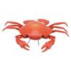 RC Crab Toy Educational Simulated Sea Life Animals Electric Crab Animal Model for Kids Birthday