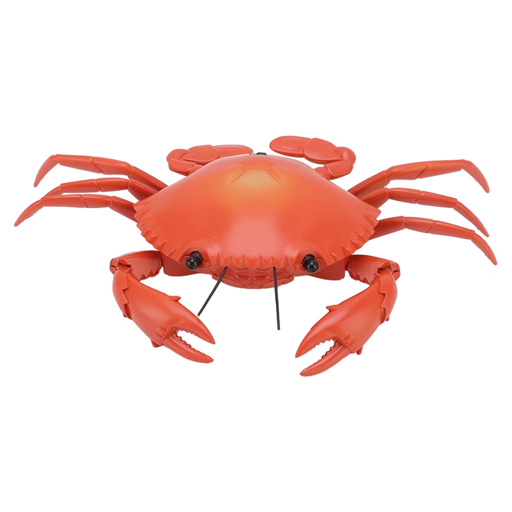 RC Crab Toy Educational Simulated Sea Life Animals Electric Crab Animal Model for Kids Birthday