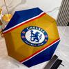 C-Chelsea Umbrella with Automatic Open/Close & Self-8-Rib Heavy-Duty Umbrella, Compact Travel Umbrella Suitable for Outdoor
