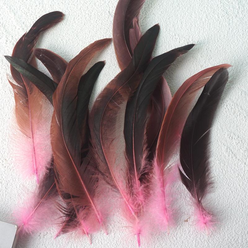 50Pcs Colorful Cock Tail 20-25Cm Stage Performance Mask Headdress Diy Decorative Material Tease Cat Stick Cat Toy Feather