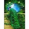 Full 5D Diy Diamond Painting Animal Peacock Diamond Embroidery Cross Stitch Home Decor Handmade Gift