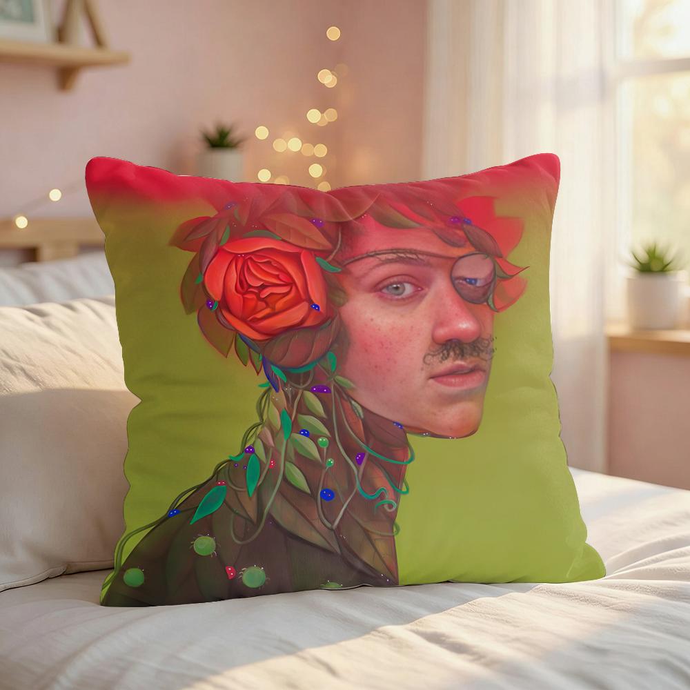 NNatasha Lelenco Abstract Art Cushion Cover Silky Short Plush Invisible Zipper Dustproof Sofa Pillow Case For Home Decor