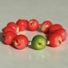Simulation Fruit Beaded Bracelet Retro Fun Summer Colorful Bracelet  Beach Vacation