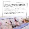 The Cosmic Pearl Oracle Oracle Cards (Authentic) with Japanese Instructions. Goddess.