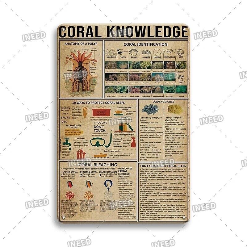 Оловянный знак Знание стоматолога Колли винтажная доска художественный плакат для стоматологического кабинета фитнес-клуба офиса ванная комната Настенный декор подарок