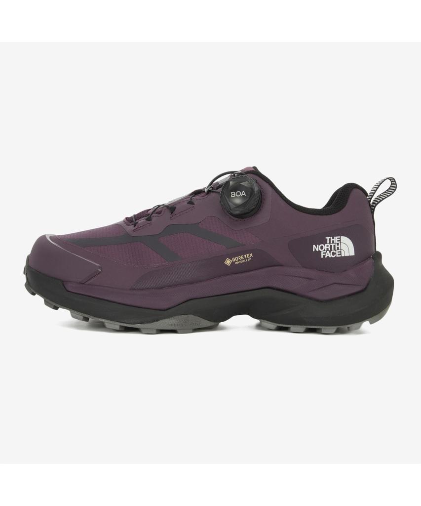 The North Face Ns95R51D Energy Tech Air Gore-Tex Темно-фиолетовый