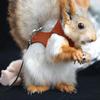 Yousheng Bearded Dragon Harness And Leash Set Adjustable Lizard Harness with Nylon Rope Small Animal Traction Rope Accessories for Bearded Dragon
