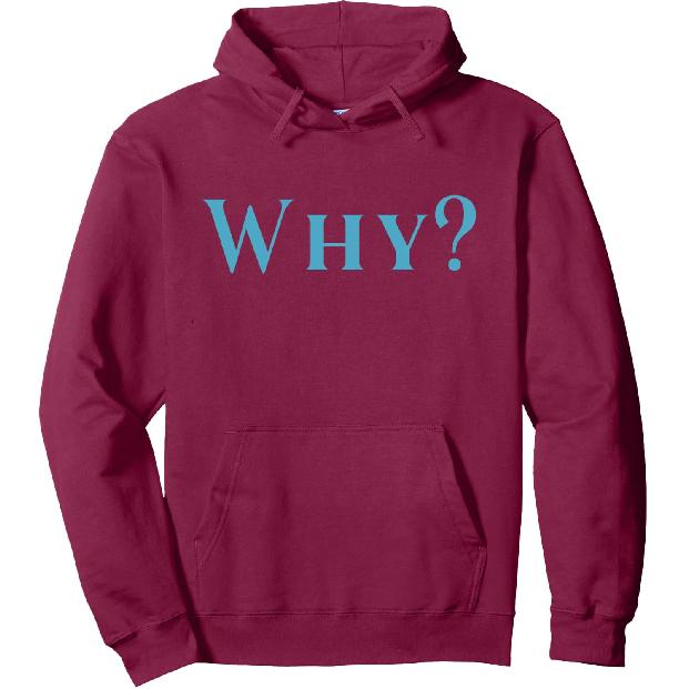 Толстовка с надписью Why
