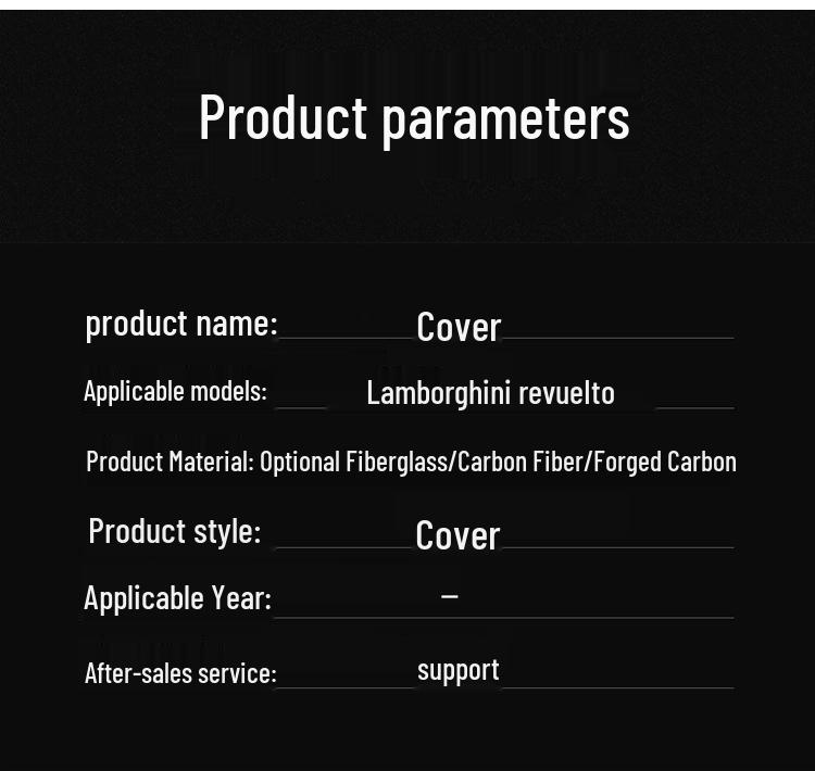 Lamborghini Aventador Revuelto Dry Carbon Fiber Front Engine Hood