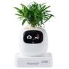 PLANTSIO IVY G2 Умный эмоциональный робот-растение