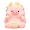 Pig Dragon Plush Toy Cartoon Animal Stuffed Doll Bedroom Decoration Gift Kids