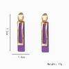 French Fashion New Light Luxury Style Earrings Niche Personality Spray Painted Colored Earrings Geometric Rectangular Metal Earrings