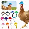 Chicken Hats For Hen Small Funny Chicken Accessories Feather Top Hat