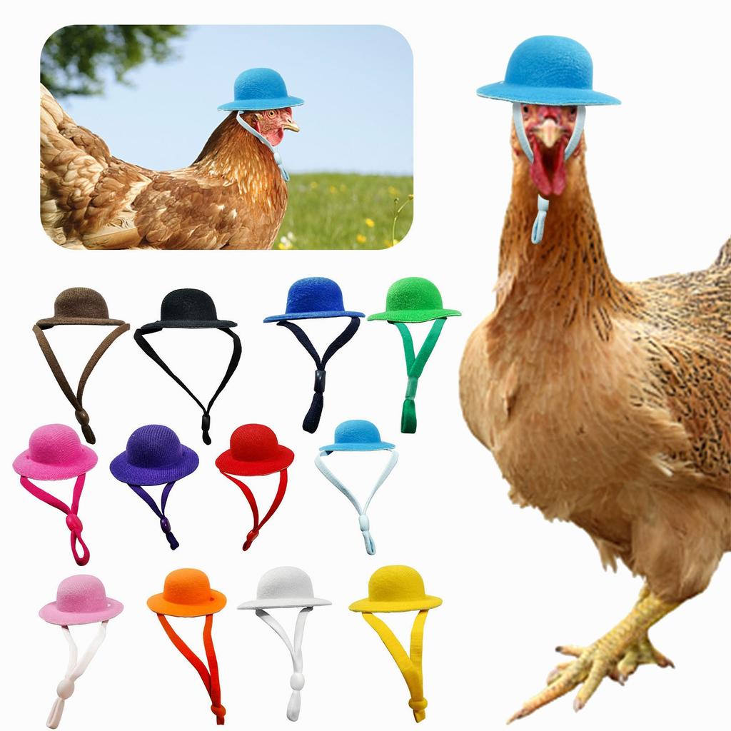 Chicken Hats For Hen Small Funny Chicken Accessories Feather Top Hat