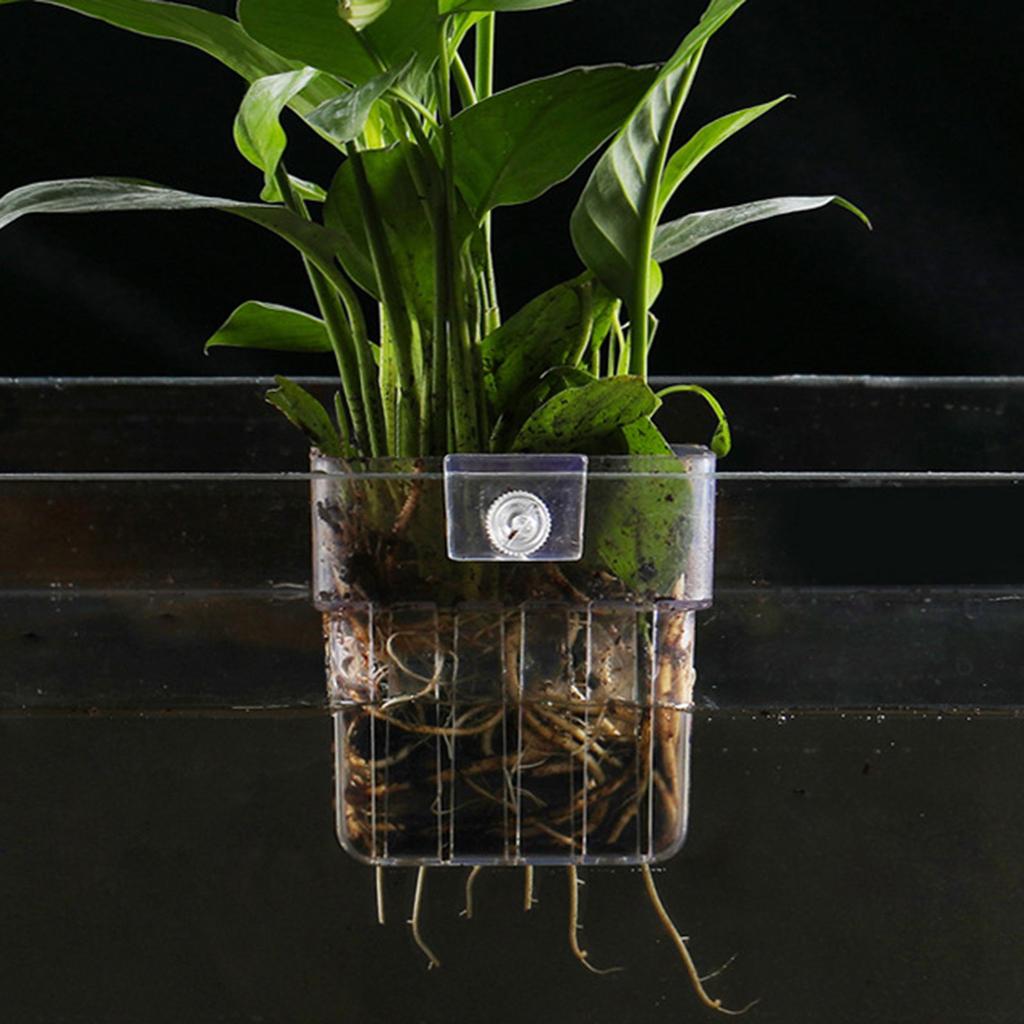 Aquarium Plant Holder Aquatic Plant for Classical Rimmed Fish Tanks Hangings Pots for Rimless Aquascapes Decorations