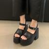 Мода 12 см Новый стиль Популярный Сверхвысокий каблук Водонепроницаемая платформа Женские летние тапочки для улицы Большой размер 34-43 Zapatos Mujer