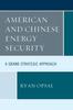 Книга American and Chinese Energy Security : A Grand Strategic Approach